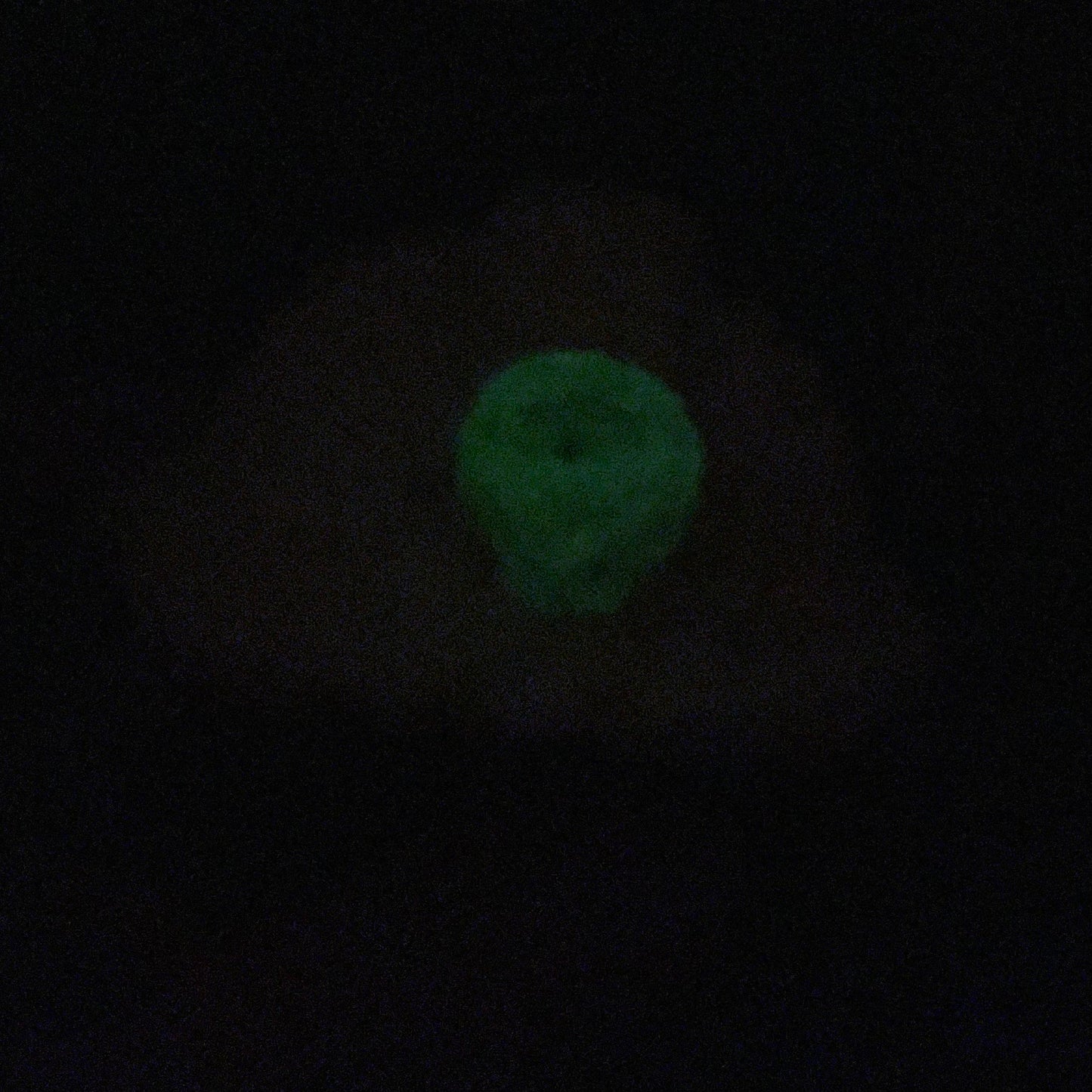 Miner Spuddie