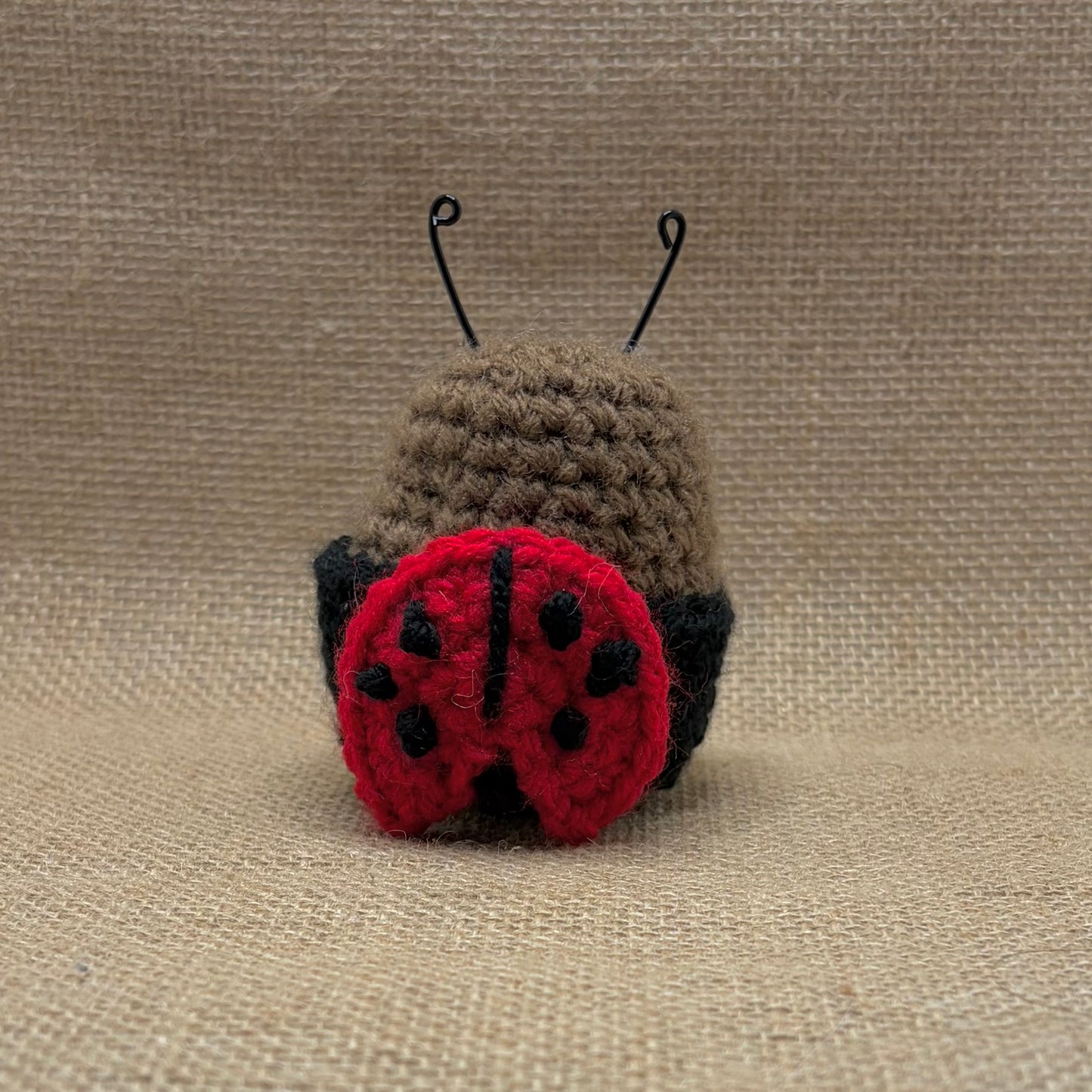 Ladybug Spuddie